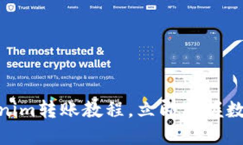 2025必看：Tokenim转账教程，立即掌握数字资产管理技巧