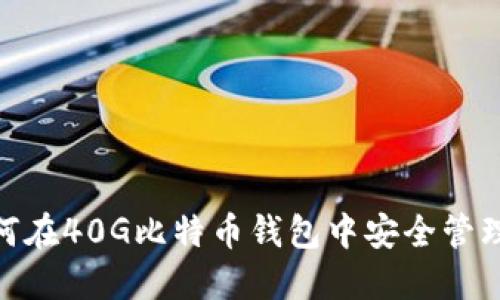 2025必看：如何在40G比特币钱包中安全管理你的数字资产