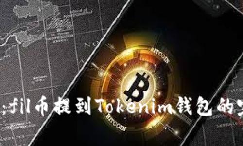 2025年必看：fil币提到Tokenim钱包的完整流程分析