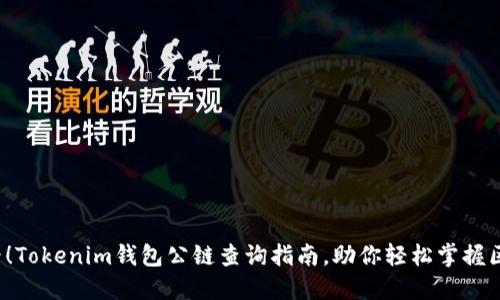 2025必看！Tokenim钱包公链查询指南，助你轻松掌握区块链资产