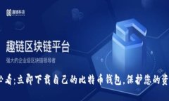 2025必看：立即下载自己的比特币钱包，保护您的
