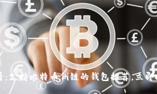 2025必看：支持比特币侧链的钱包推荐，立即投资未来!