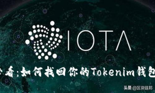 2025必看：如何找回你的Tokenim钱包助记词