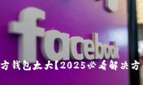 比特币官方钱包太大？2025必看解决方案和技巧！