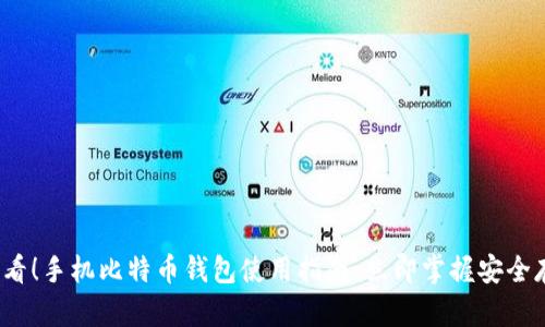 2025必看！手机比特币钱包使用指南：立即掌握安全存储技巧