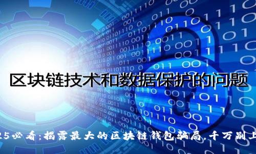2025必看：揭露最大的区块链钱包骗局，千万别上当！