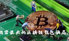 2025必看：揭露最大的区块链钱包骗局，千万别上