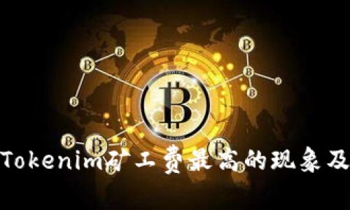 2025必看：Tokenim矿工费最高的现象及其影响分析