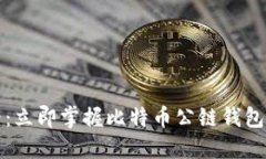 2025必看：立即掌握比特币公链钱包注册技巧！
