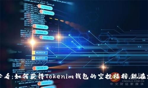 2025必看：如何获得Tokenim钱包的空投福利，现在就行动！