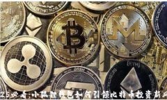 2025必看：小狐狸钱包如何引领比特币投资新风潮