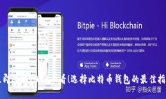 立即了解2025必看！选择比特币钱包的最佳指南