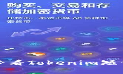 立即了解！2025必看Tokenim短信通知升级全解析