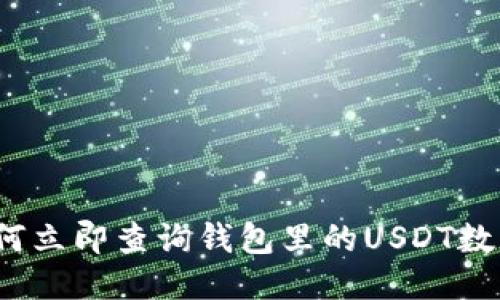 如何立即查询钱包里的USDT数量？