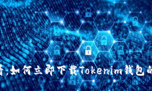 2025必看：如何立即下载Tokenim钱包的正版APP