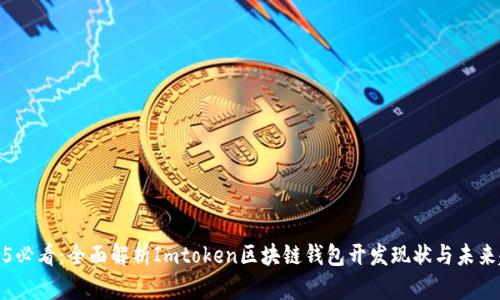 2025必看：全面解析Imtoken区块链钱包开发现状与未来趋势