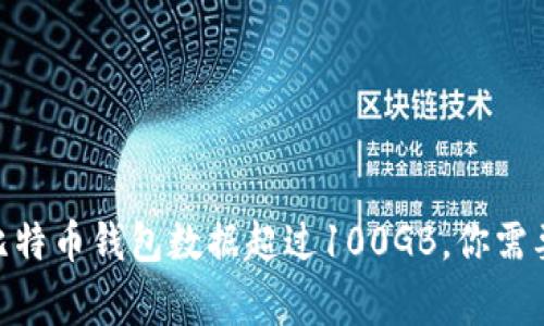 2025必看：比特币钱包数据超过100GB，你需要了解的事实
