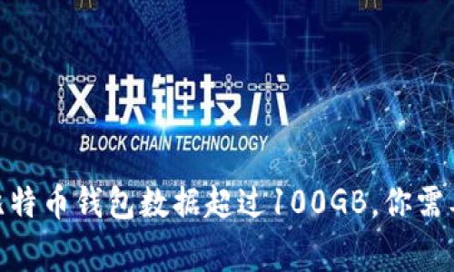 2025必看：比特币钱包数据超过100GB，你需要了解的事实