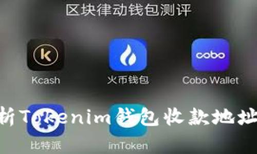 2025必看：全面解析Tokenim钱包收款地址的风险与防范措施