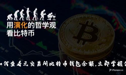 2025必看：如何查看元交易所比特币钱包余额，立即掌握你的加密资产