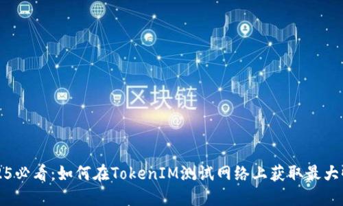 2025必看：如何在TokenIM测试网络上获取最大收益