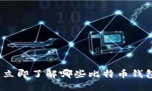 2025必看：立即了解哪些比特币钱包速度最快！