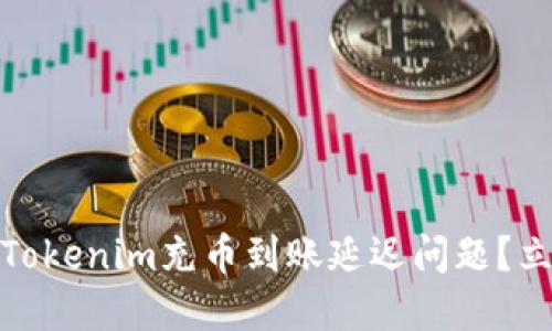 bianoti如何解决Tokenim充币到账延迟问题？立即查看解决方案！