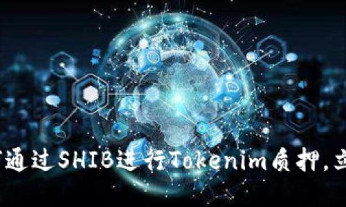 2025必看：如何通过SHIB进行Tokenim质押，立即获取高回报！