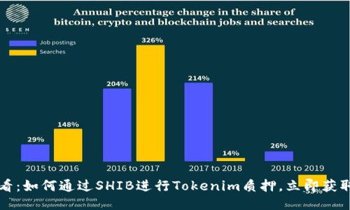 2025必看：如何通过SHIB进行Tokenim质押，立即获取高回报！