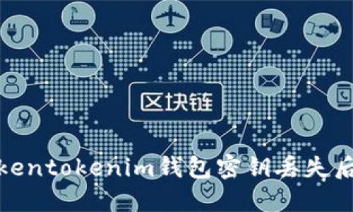 立即处理！Tokentokenim钱包密钥丢失后该如何应对？