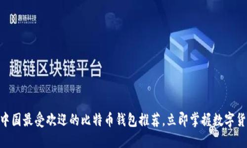 2025必看：中国最受欢迎的比特币钱包推荐，立即掌握数字货币投资机遇