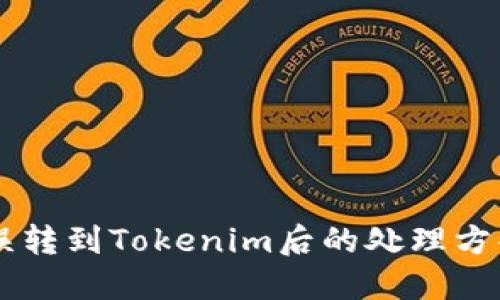 2025必看：USDT误转到Tokenim后的处理方案与风险防范指南