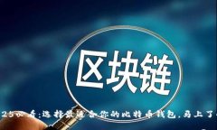 2025必看：选择最适合你的比特币钱包，马上了解