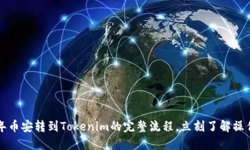 2025年币安转到Tokenim的完整流程，立刻了解操作步骤！