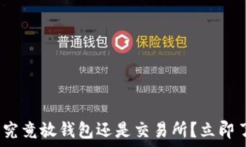   
2025必看：虚拟币究竟放钱包还是交易所？立即了解你的最佳选择！