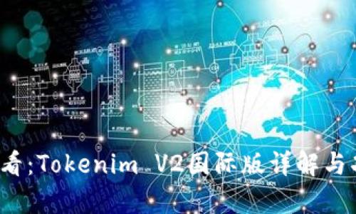2025必看：Tokenim V2国际版详解与功能解析