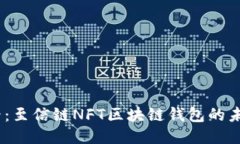 2025必看：至信链NFT区块链钱包的未来与机遇