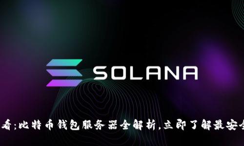 2025必看：比特币钱包服务器全解析，立即了解最安全的选择