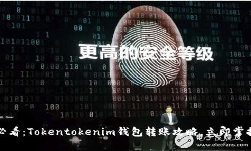 2025必看：Tokentokenim钱包转账攻略，立即掌握技巧！