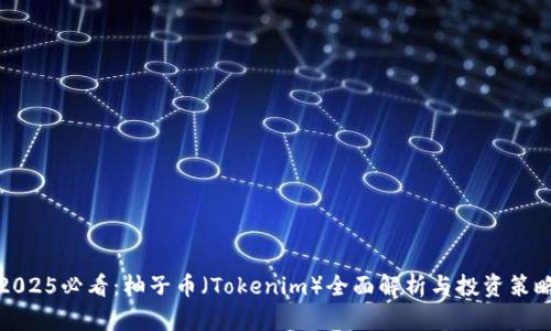 2025必看：柚子币（Tokenim）全面解析与投资策略