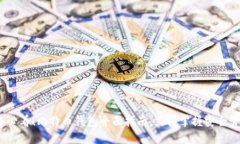 2025年必看！比特币钱包全面指南，立即掌握安全