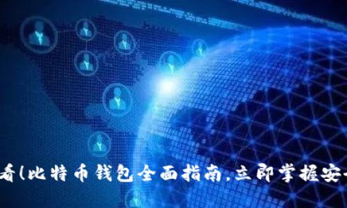 2025年必看！比特币钱包全面指南，立即掌握安全管理技巧