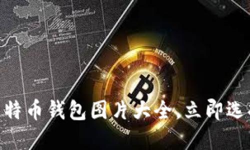 2025必看！最全电脑版比特币钱包图片大全，立即选择你的数字资产保护方案