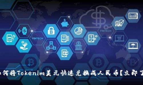 2025必看！如何将Tokenim美元快速兑换成人民币？立即了解兑换技巧！