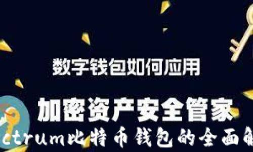 
2025必看：Electrum比特币钱包的全面解析与使用指南