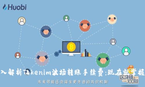 2025必看！深入解析Tokenim波场转账手续费：现在就掌握如何节省成本