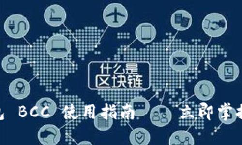 2025必看：比特币钱包 BCC 使用指南 – 立即掌握数字货币存储新趋势