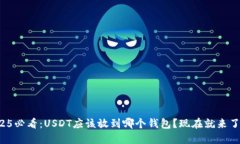 2025必看：USDT应该放到哪个钱包？现在就来了解！