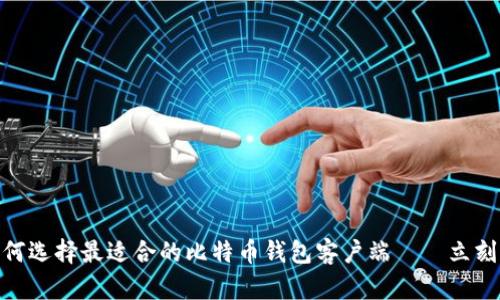 2025必看：如何选择最适合的比特币钱包客户端——立刻掌握投资先机