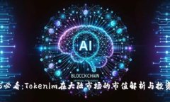 2025必看：Tokenim在大陆市场的市值解析与投资潜力